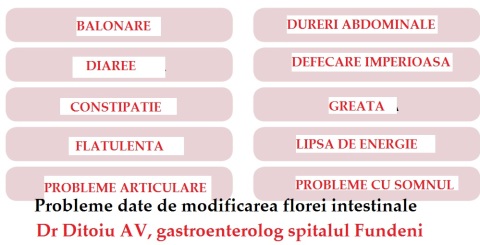 Image result for ditoiu constipatia
